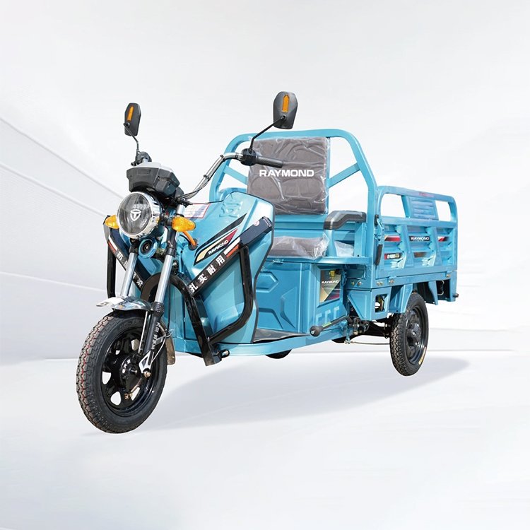 Blue heavy-duty electric cargo tricycle 650W with reinforced frame and rear box