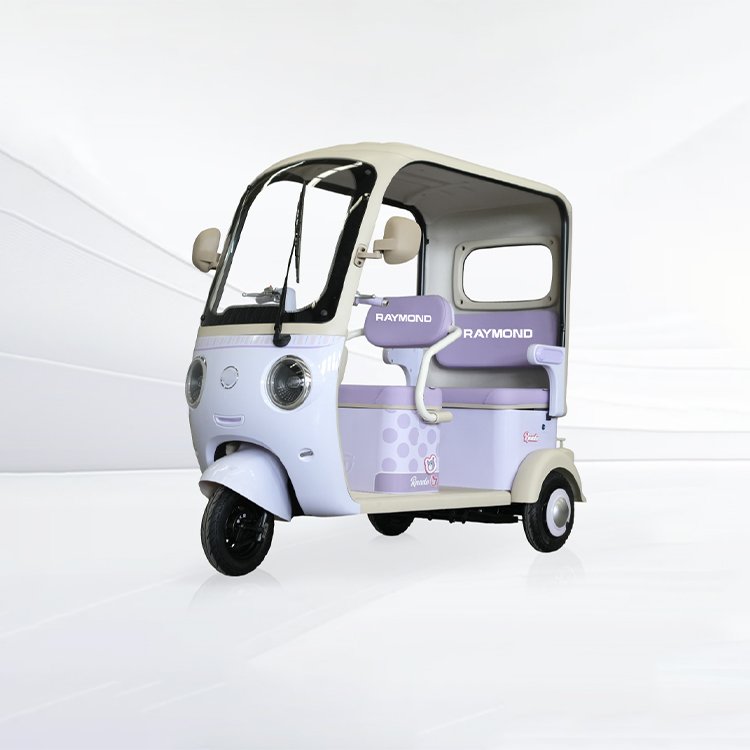 Zhanfu enclosed cabin electric passenger tricycle multi‑color 3‑wheel electric tricycle