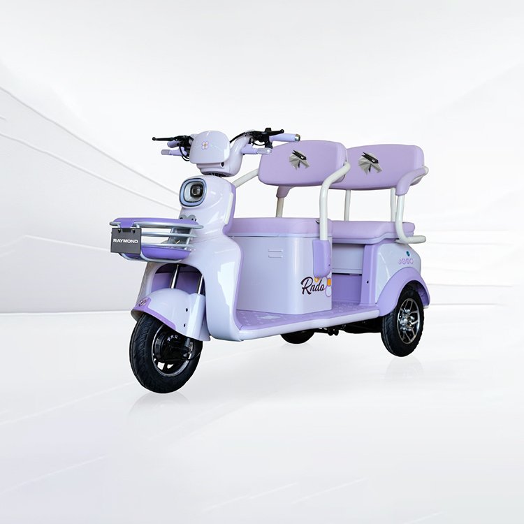 Feitian 6MAX leisure electric passenger tricycle dual‑tone 3‑wheel vehicle for B2B wholesale