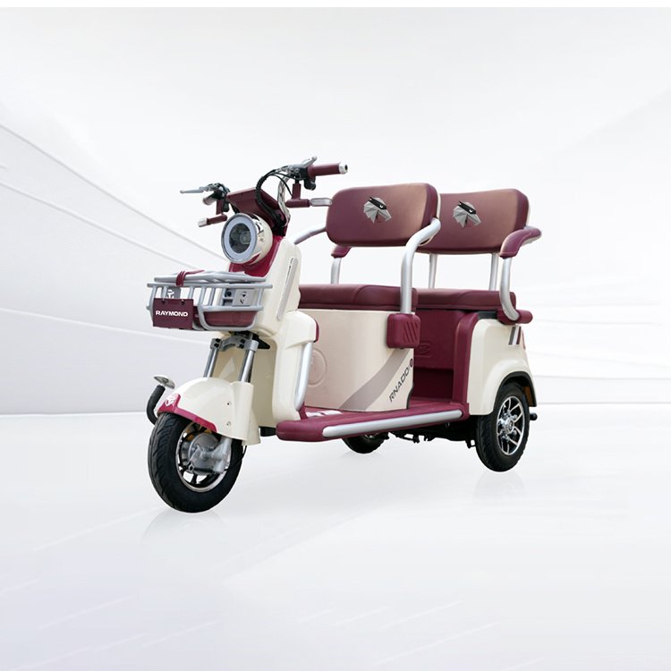 Feitian 5Pro leisure electric passenger tricycle 3‑wheel vehicle for B2B wholesale OEM ODM