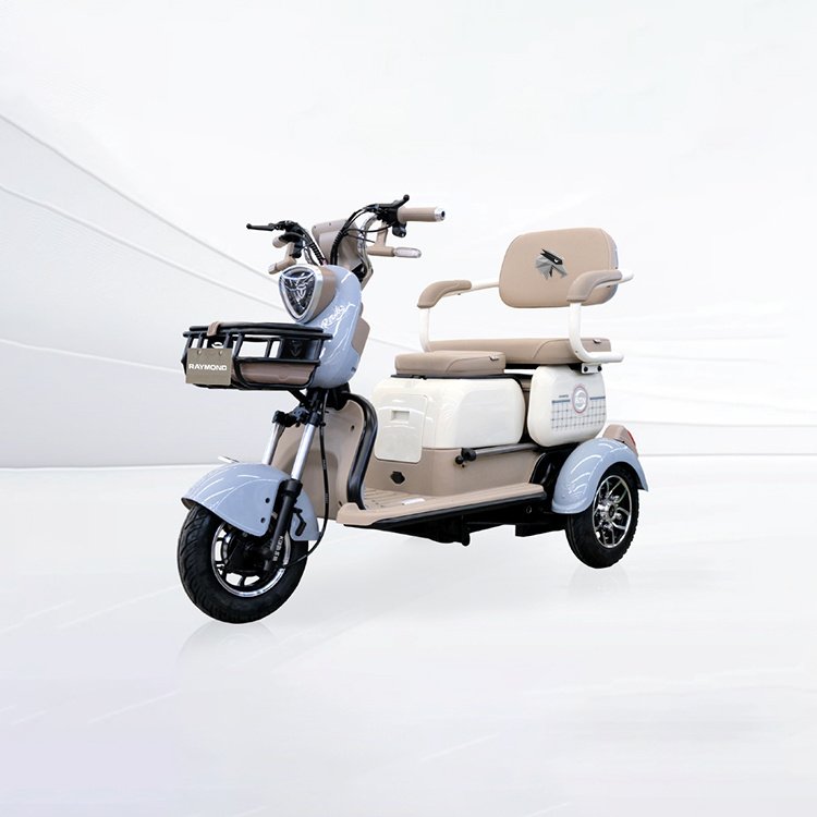 Feihu 4 compact leisure electric passenger tricycle 3‑wheel vehicle for B2B wholesale OEM ODM