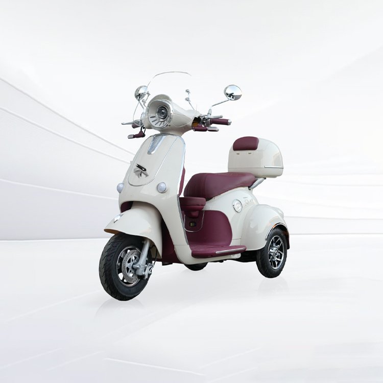 Feilong 16 retro style electric passenger tricycle 3‑wheel vehicle for B2B wholesale OEM ODM