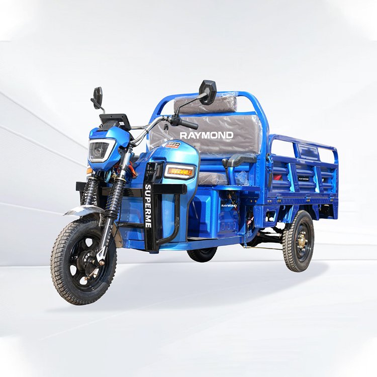 Lihong 1.5‑1.6 heavy‑duty electric cargo tricycle 800W permanent magnet motor