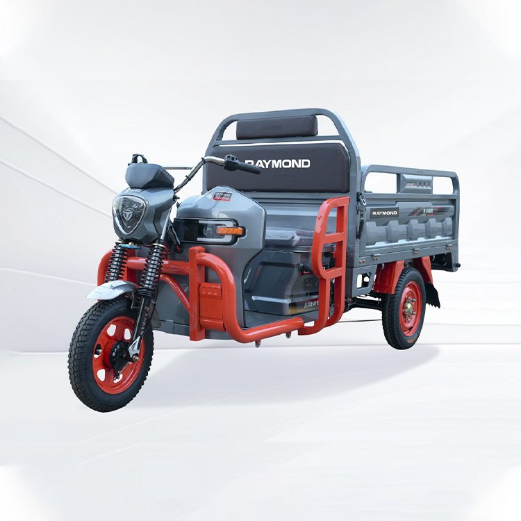 Lifeng 1.5‑1.6A heavy‑duty electric cargo tricycle 1000W permanent magnet motor