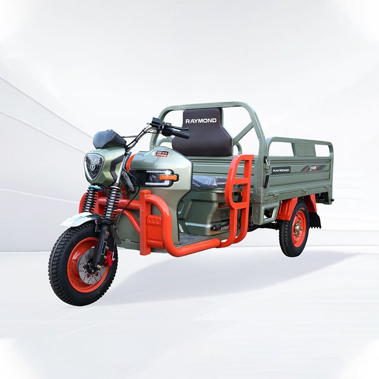 Lifeng 1.5‑1.6B heavy‑duty electric cargo tricycle 1000W permanent magnet motor