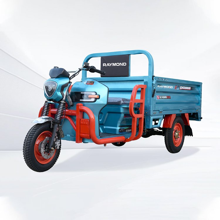 Lifeng 1.5‑1.6C heavy‑duty electric cargo tricycle 1000W permanent magnet motor