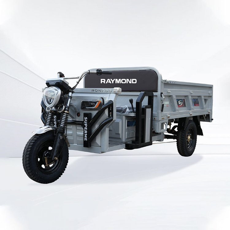 Liwei 2.0×1.2 heavy‑duty electric cargo tricycle 1200W permanent magnet motor