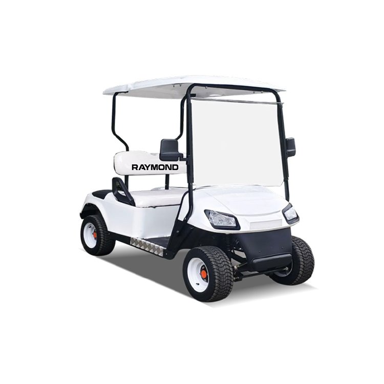LK basic 2‑seater compact electric golf cart white sightseeing buggy