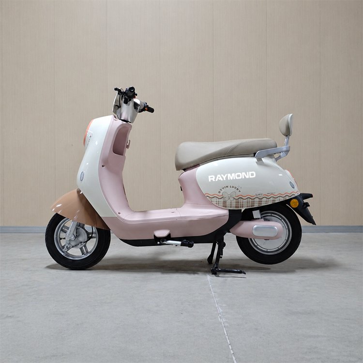 Fanhua retro style electric scooter 600W CKD export wholesale